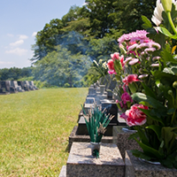 墓地を購入する場所選びは立地条件も重要です